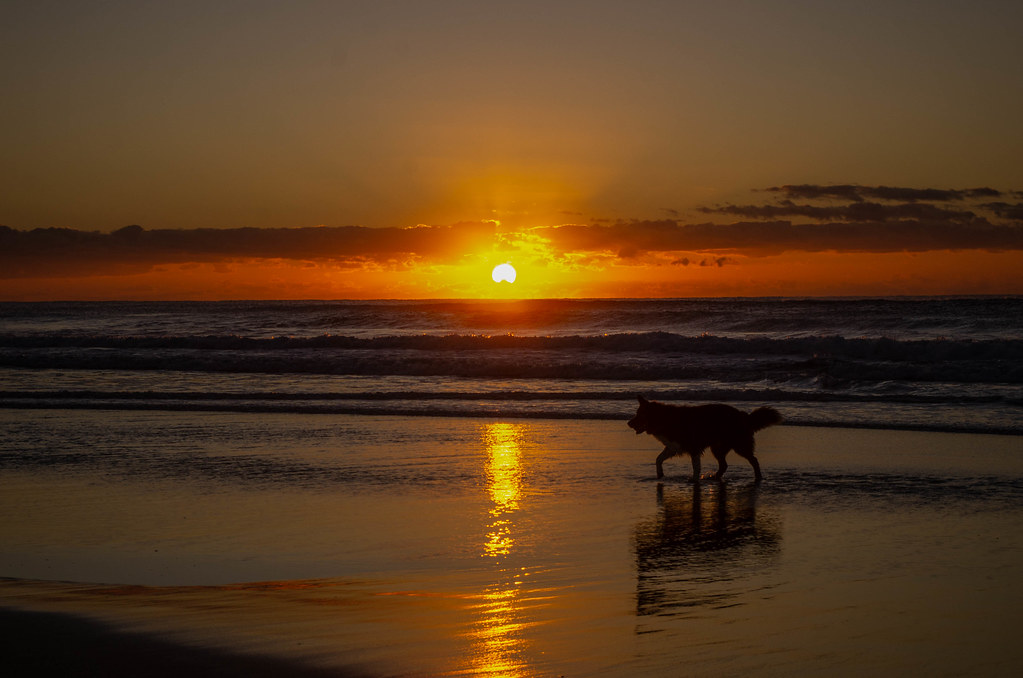Sunshine Coast